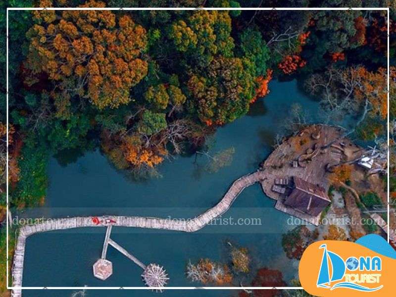 mua-la-phong-da-lat-ho-tuyen-lam.jpg (73 KB)