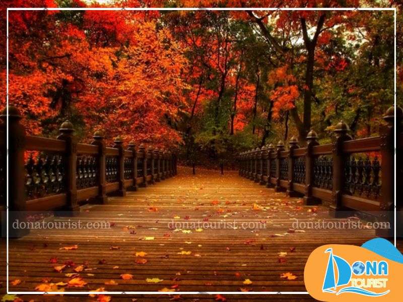 trekking-lang-biang-ngam-mua-la-phong-da-lat.jpg (83 KB)