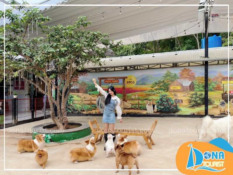 Vui chơi cùng đàn cún đang yêu choi-dua-cung-nhung-chu-cun-tai-puppy-farm.jpg (77 KB)