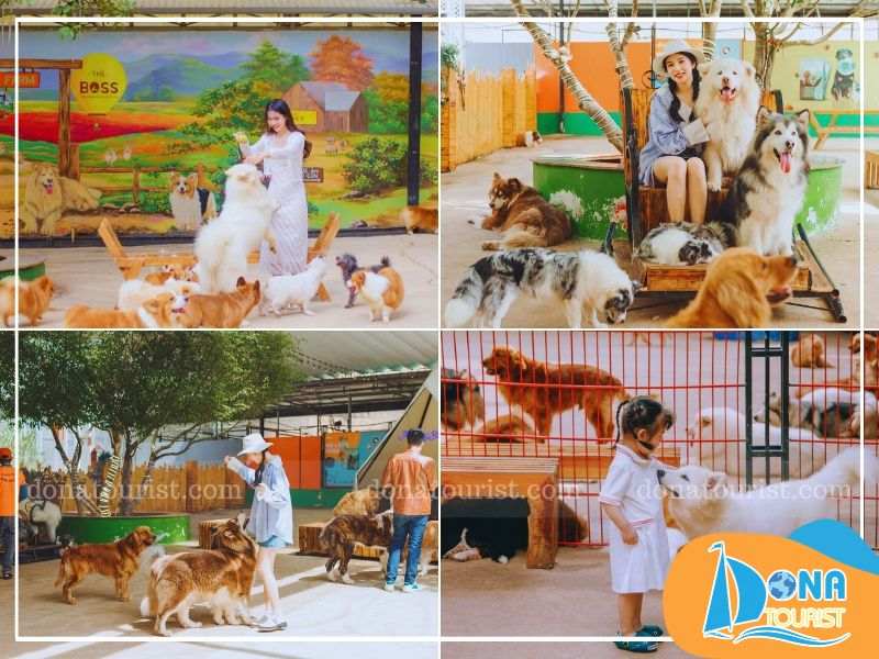 Giá vé tham quan Puppy Farm từ 50.000 - 100.000 đồng gia-ve-nong-trai-cun-puppy-farm.jpg (80 KB)