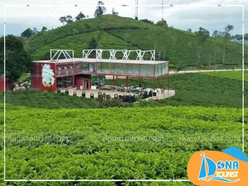 cau-dat-farm.jpg (74 KB)