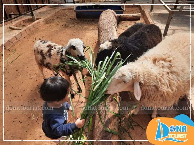 luu-y-khi-den-nong-trai-o-da-lat.jpg (78 KB)