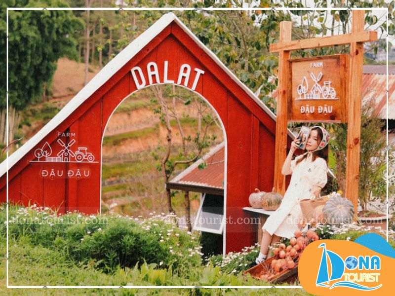 nong-trai-farm-dau-dau.jpg (81 KB)