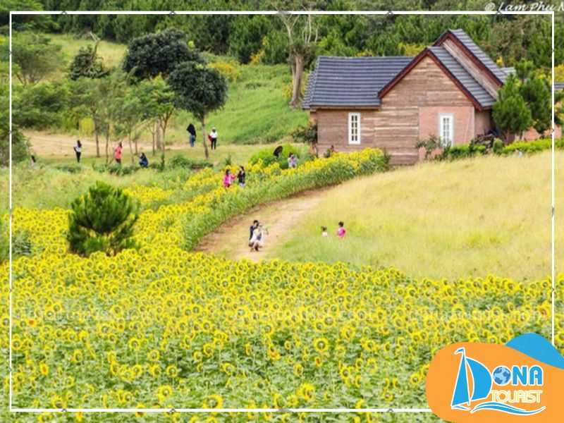 tai-sao-nen-den-nong-trai-o-da-lat.jpg (72 KB)