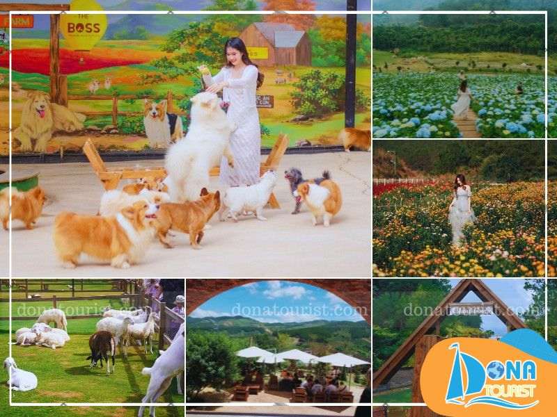 tieu-chi-chon-nong-trai-o-da-lat.jpg (83 KB)