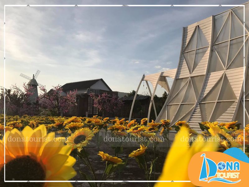 phim-truong-story-love-da-lat-o-dau.jpg (96 KB)