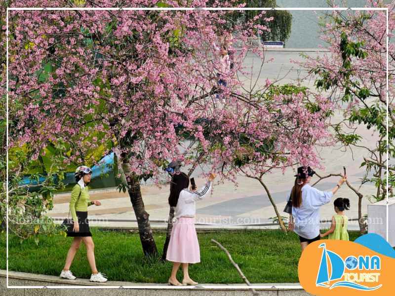 check-in-pho-di-bo-da-lat-1.jpg (89 KB)