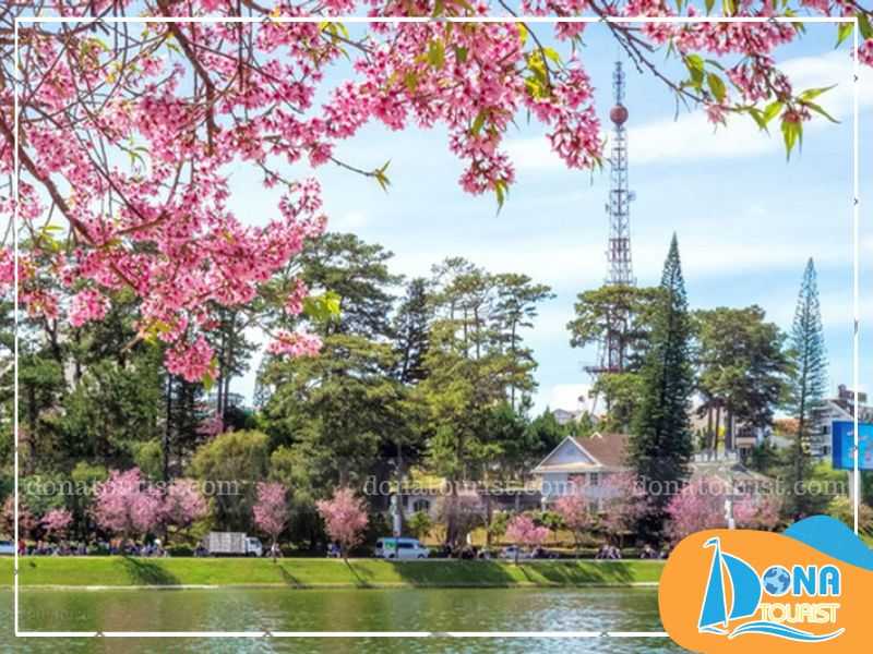 check-in-pho-di-bo-da-lat-2.jpg (81 KB)