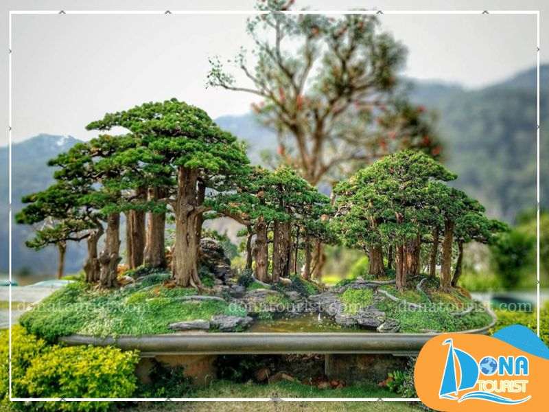 vuon-bonsai-que-garden-da-lat.jpg (79 KB)