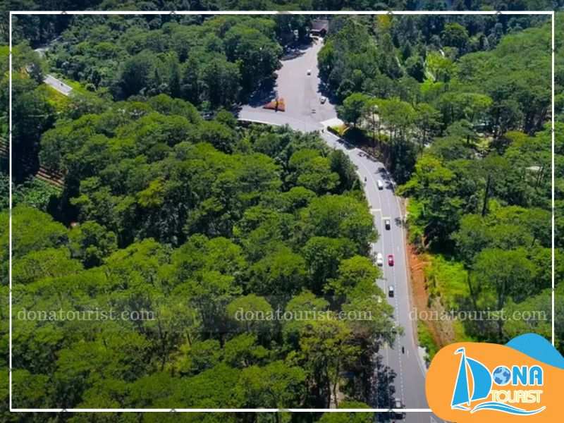 Rừng thông Đà Lạt đèo Prenn rung-thong-da-lat-deo-prenn.jpg (75 KB)