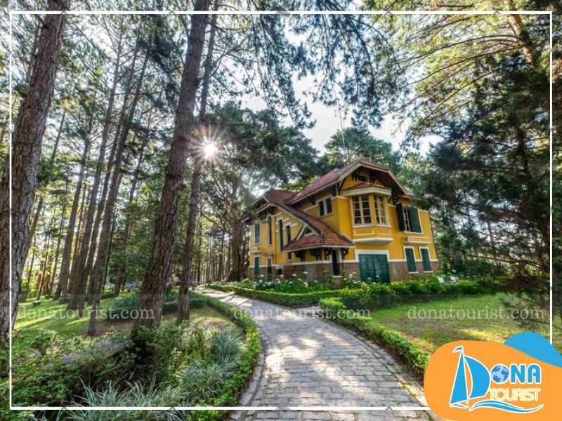 Rừng thông Dinh Bảo Đại I rung-thong-da-lat-dinh-bao-dai-1.jpg (92 KB)