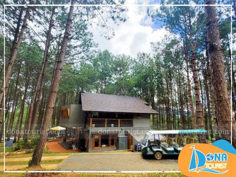 gioi-thieu-rung-thong-mo-farm-bistro.jpg (91 KB)