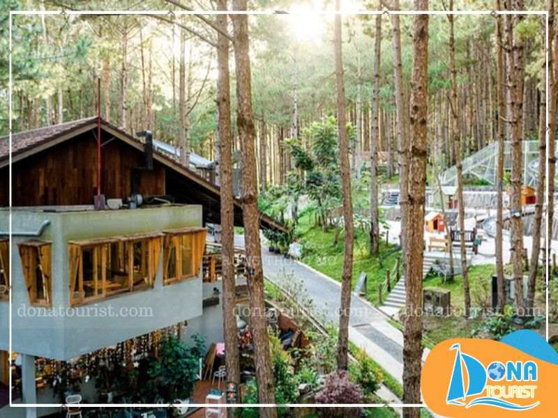 khong-gian-rung-thong-mo-farm-bistro.jpg (83 KB)