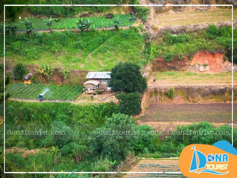 doi-thanh-mau-san-van-dong-da-lat.jpg (90 KB)