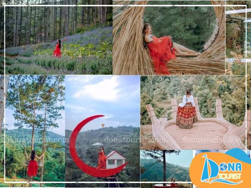 diem-tham-quan-xung-quanh-thi-tran-mo-da-lat.jpg (79 KB)