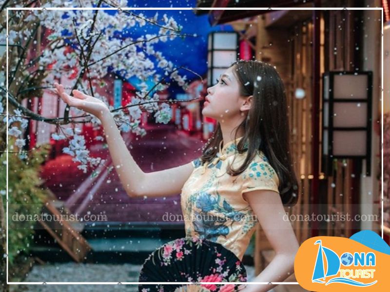 hoa-trang-thi-tran-mo-da-lat.jpg (105 KB)