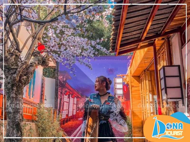 khong-gian-pha-che-thi-tran-mo-da-lat.jpg (81 KB)