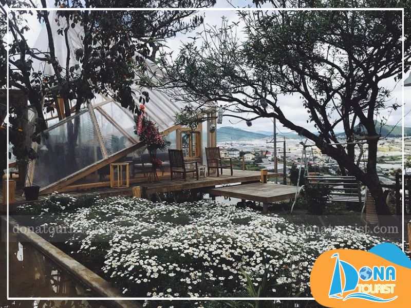 nha-kinh-tiem-cafe-tui-mo-to.jpg (105 KB)