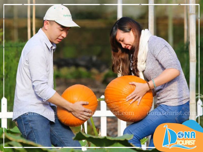 checkin-vuon-bi-ngo-khong-lo-da-lat.jpg (83 KB)