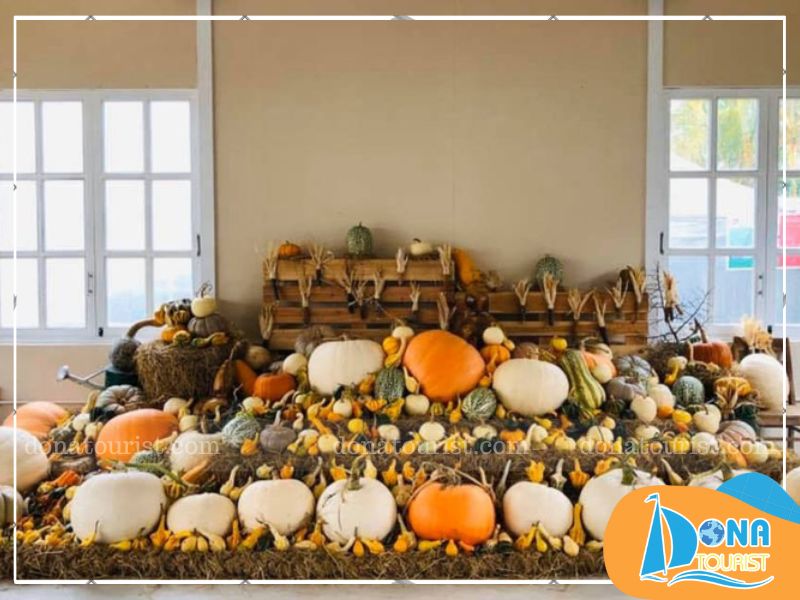 cong-dung-bi-ngo-khong-lo.jpg (87 KB)