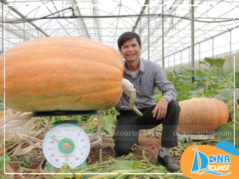 toa-do-vuon-bi-ngo-khong-lo-da-lat.jpg (96 KB)