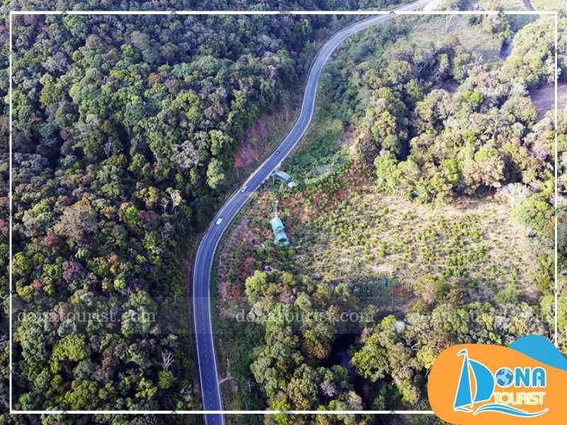 duong-di-vuon-co-tich-tulu-tula.jpg (90 KB)