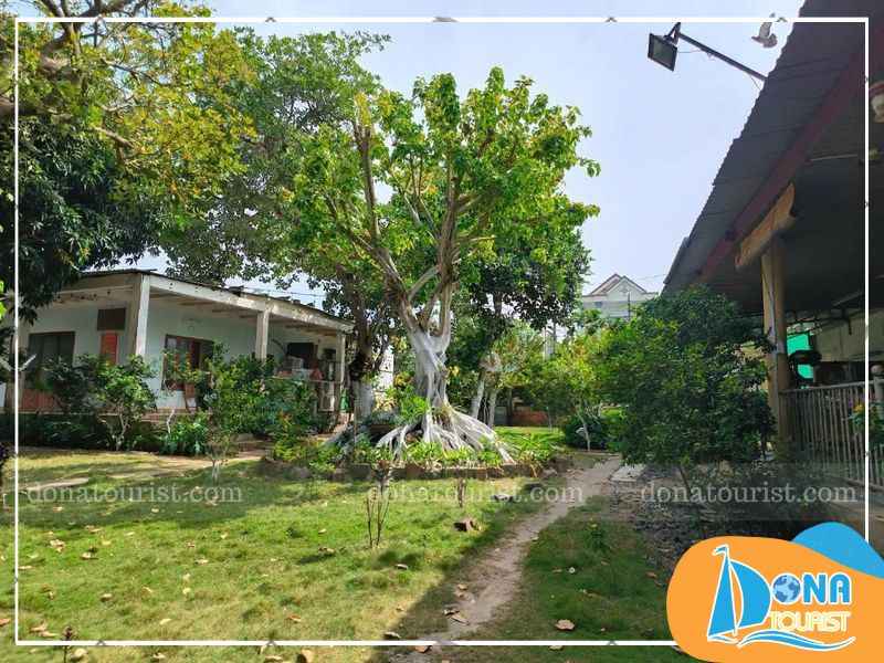 bien-rung-homestay-ho-tram-gan-bien.jpg (72 KB)