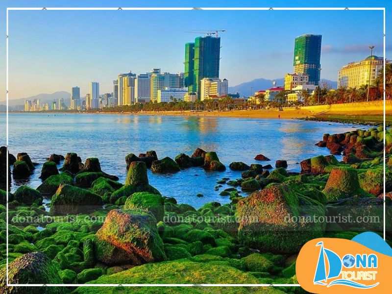 bai-reu-nha-trang-o-dau.jpg (72 KB)