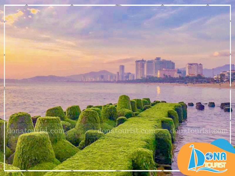 gioi-thieu-bai-reu-nha-trang.jpg (82 KB)