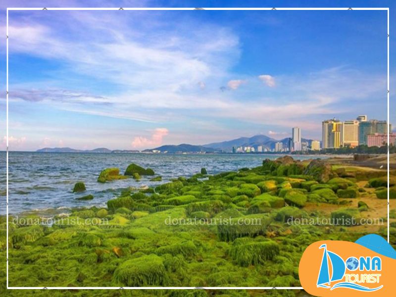 luu-y-khi-den-bai-reu-nha-trang.jpg (88 KB)