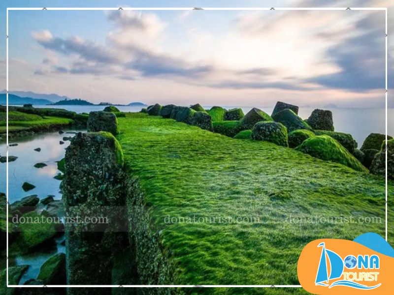 thoi-diem-den-bai-reu-nha-trang.jpg (98 KB)