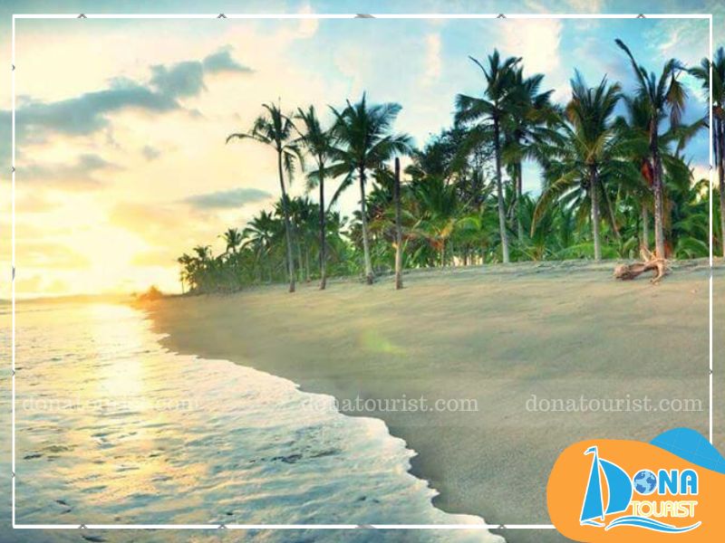 ngam-canh-dao-dua-nha-trang.jpg (89 KB)