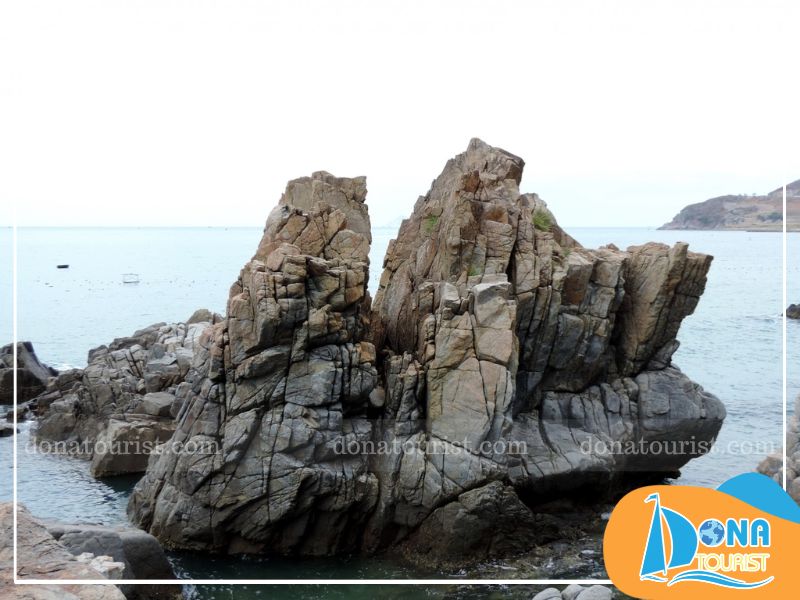 chiem-nguong-ve-dep-hang-heo-nha-trang.jpg (85 KB)
