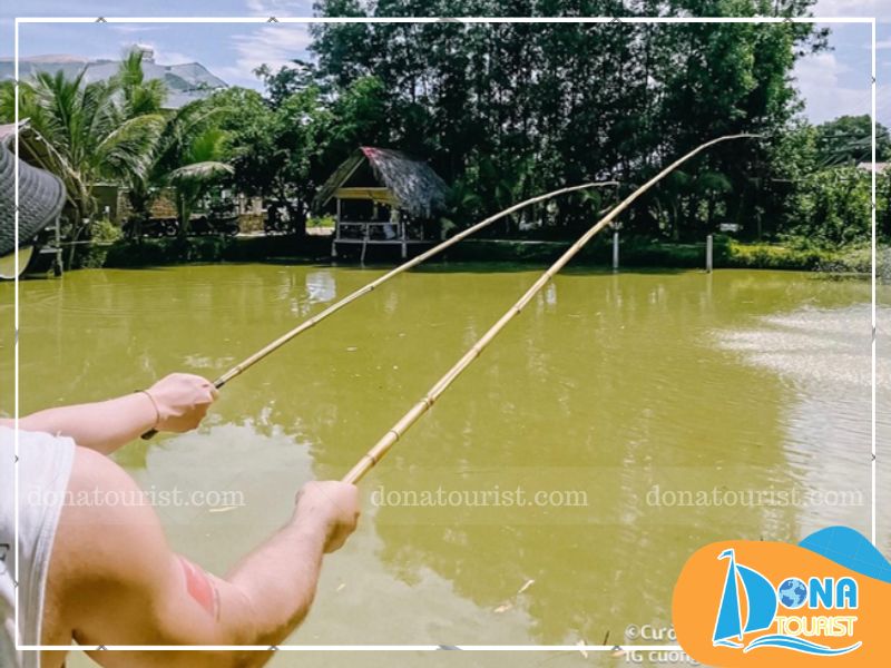 cau-ca-ho-da-ban-nha-trang.jpg (96 KB)