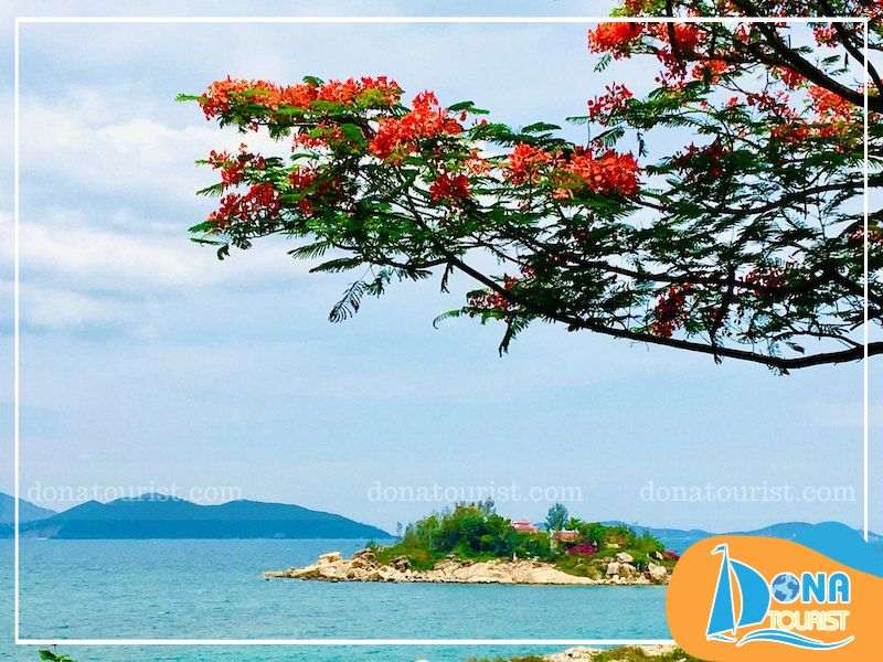 thoi-diem-den-hon-do-nha-trang.jpg (90 KB)