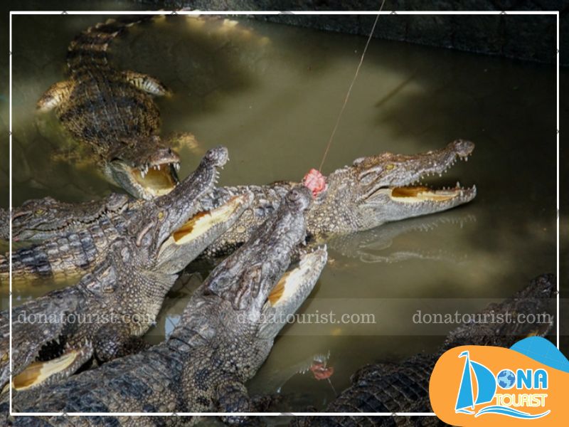 cau-ca-khu-du-lich-nhan-tam.jpg (94 KB)