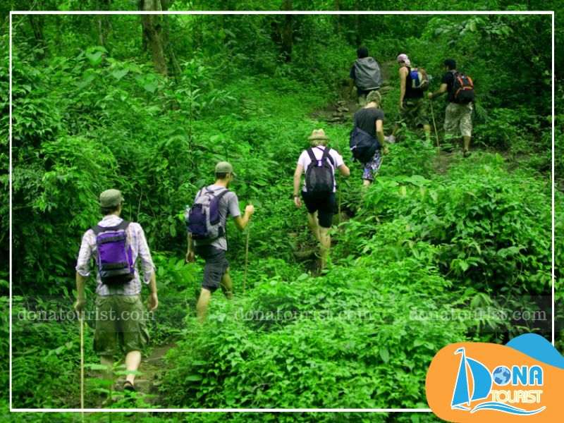 Thưởng ngoạn khu rừng nhiệt đới thu nhỏ tại Kong Forest rung-nhiet-doi-kong-forest.jpg (97 KB)