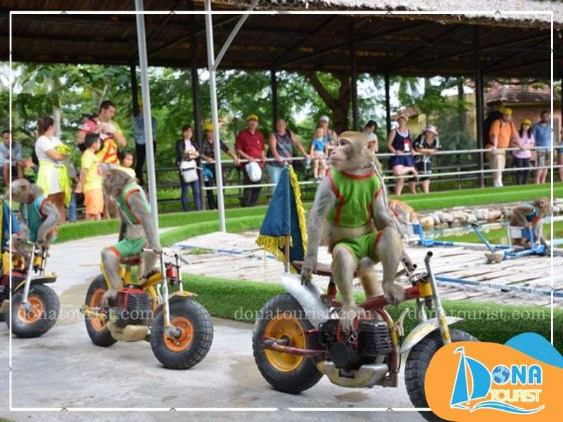 cam-nang-tham-gia-le-hoi-hoa-qua-son-nha-trang.jpg (82 KB)