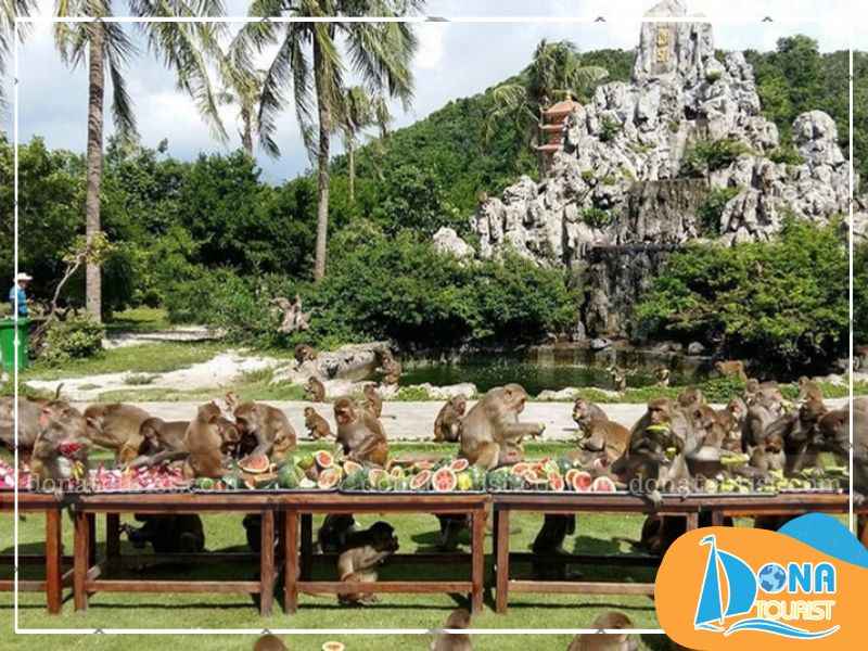 nguon-goc-le-hoi-hoa-qua-son-nha-trang.jpg (79 KB)