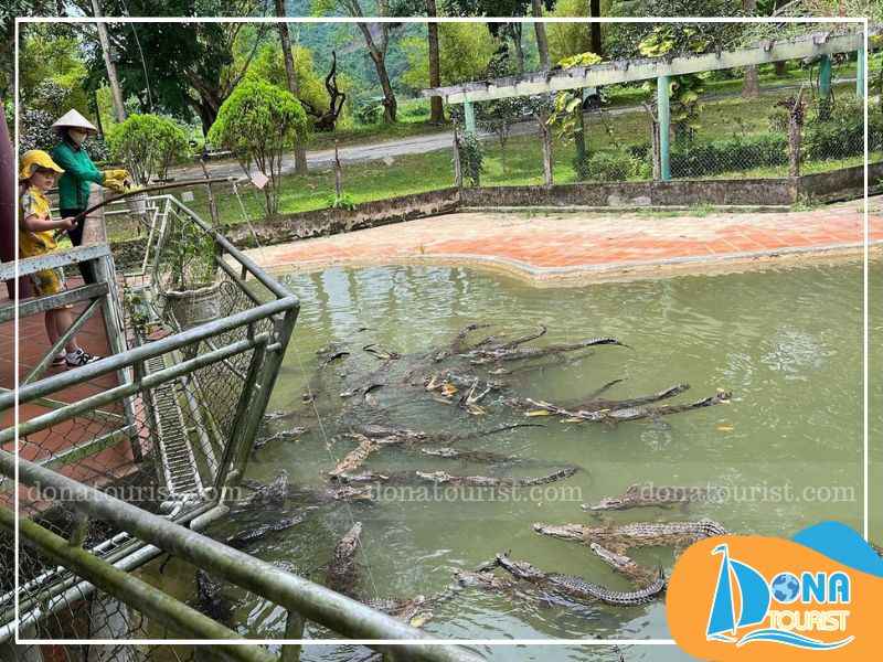 Câu cá sấu đầy kịch tính cau-ca-sau-thac-yangbay.jpg (78 KB)