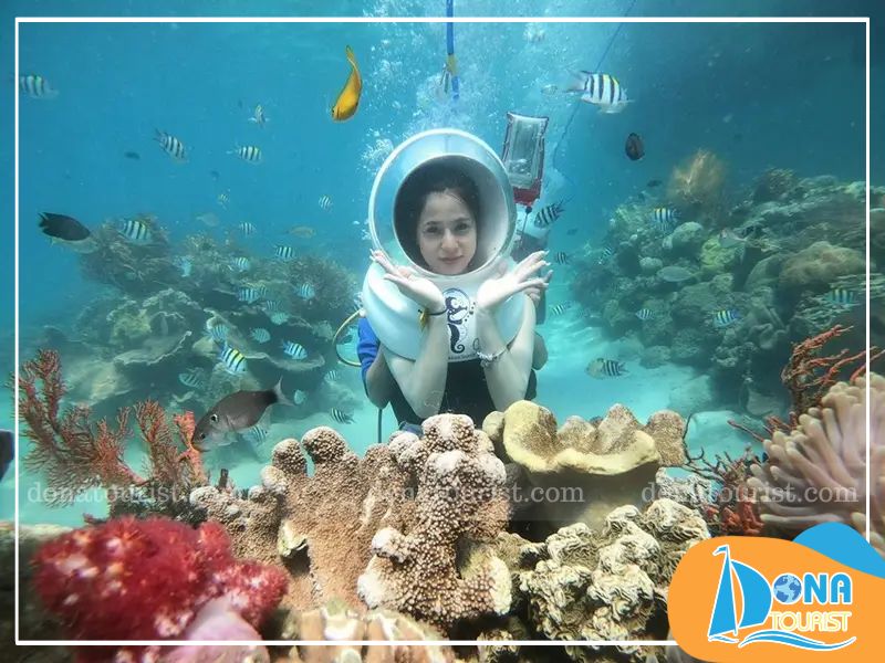Đi bộ dưới biển khám phá đại dương tại vịnh San Hô Nha Trang di-bo-duoi-bien-tai-vinh-san-ho.jpg (109 KB)