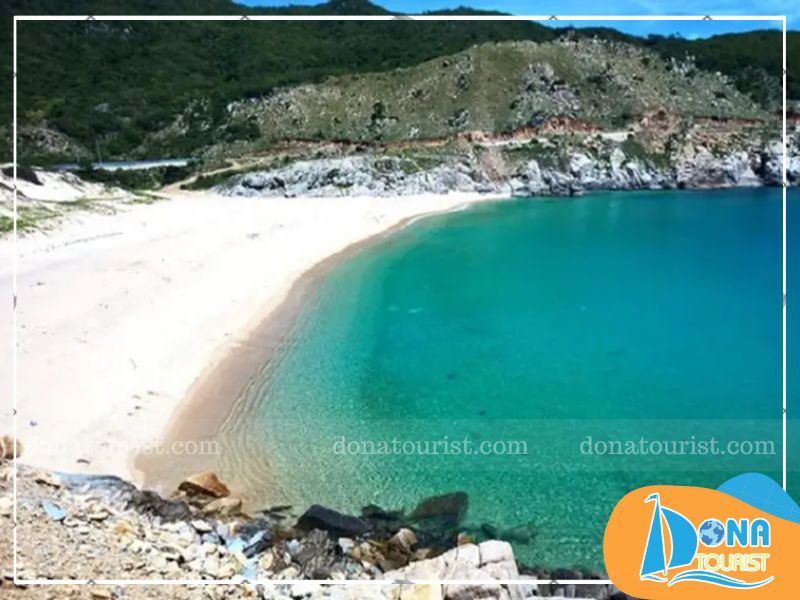 gioi-thieu-bai-chuoi-ninh-thuan.jpg (86 KB)