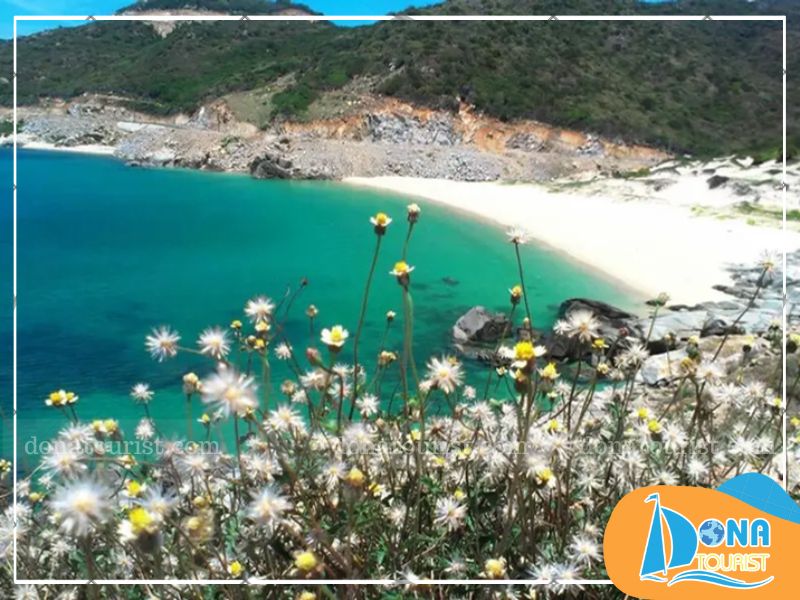 tips-chup-anh-bai-chuoi-ninh-thuan.jpg (109 KB)