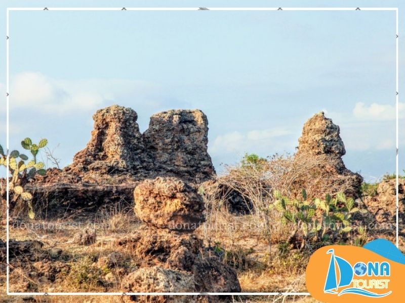 gioi-thieu-bai-da-karang-ninh-thuan.jpg (105 KB)