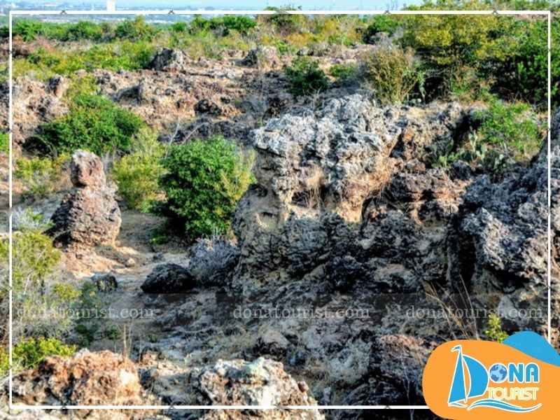 thien-nhien-bai-da-karang-ninh-thuan.jpg (87 KB)