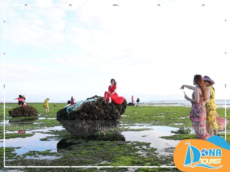 buc-tranh-reu-tai-bai-reu-xanh-lang-tu-thien.jpg (76 KB)