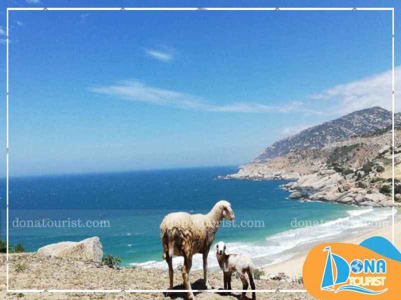 luu-y-check-in-bai-trang-ninh-thuan.jpg (84 KB)