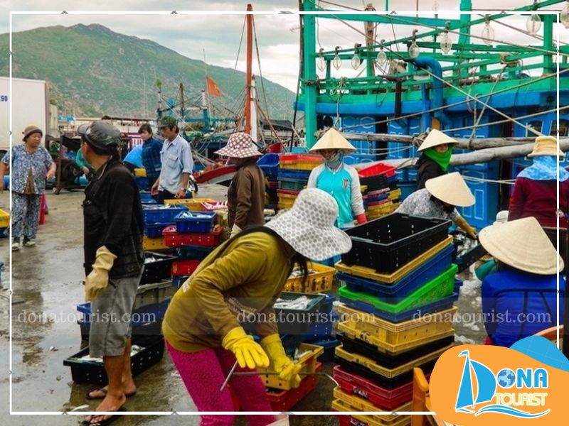 Tìm hiểu cuộc sống người dân làng chài, chiêm ngưỡng cảnh tượng tàu thuyền tấp nập ra khơi tim-hieu-cuoc-song-nguoi-dan-bien-ca-na.jpg (98 KB)