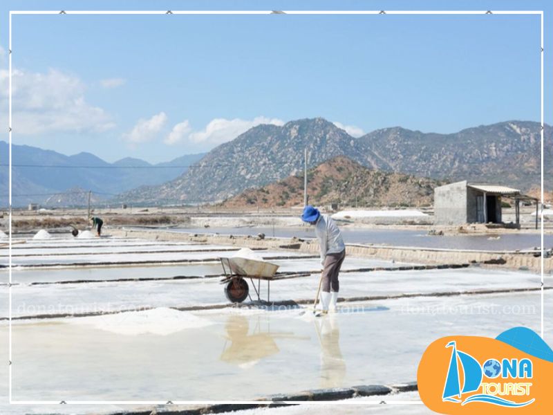 Cánh đồng muối Đầm Vua cách Phan Rang Tháp Chàm khoảng 12 km về hướng Đông Bắc, gần bảo tàng Ninh Thuận canh-dong-muoi-dam-vua-o-dau.jpg (68 KB)