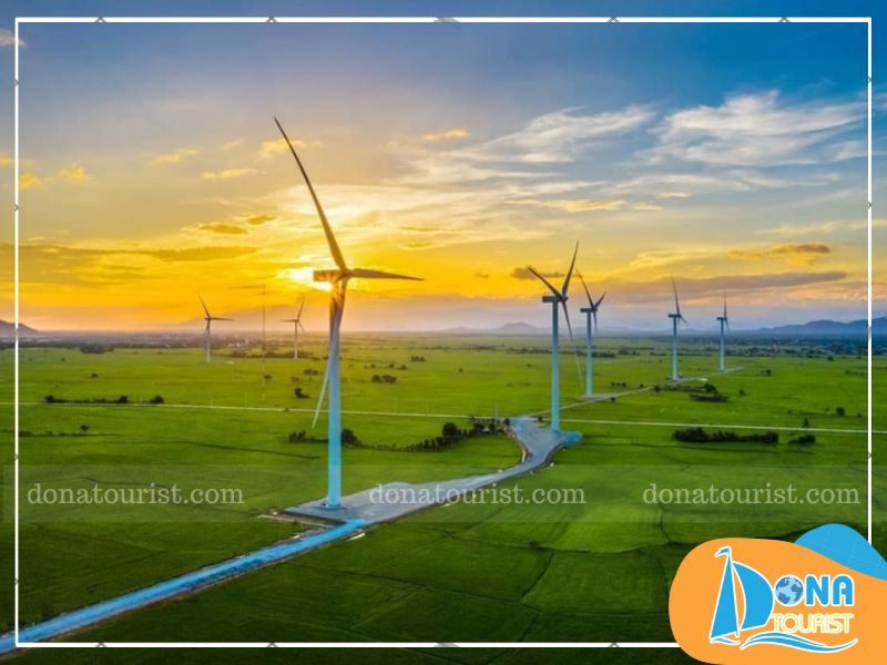 canh-dong-quat-gio.jpg (74 KB)